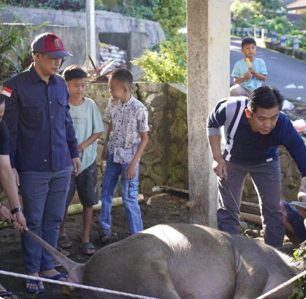 Idul Adha 1447 IAIN Curup Sembelih 7 Hewan Kurban.